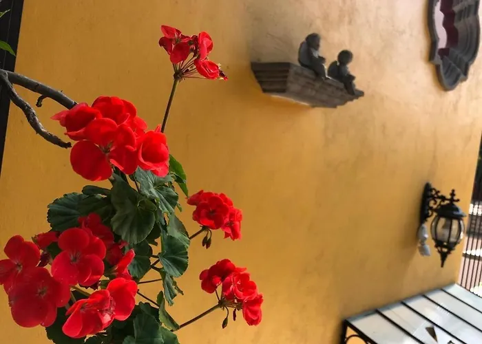 Hermosa Casa En Coyoacán * México DF